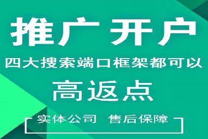 百度推广竞价全解析：某电商平台的营销策略